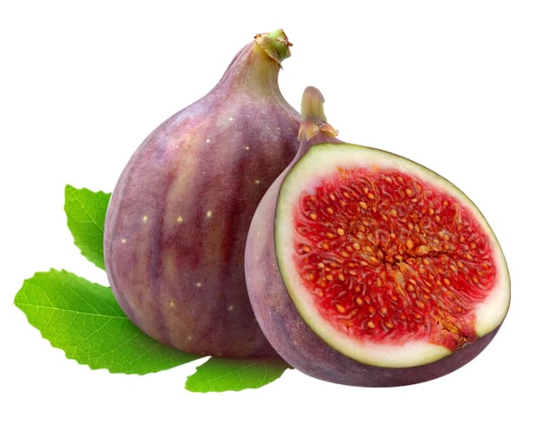 Decorative Figs