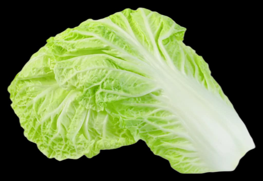 Decorative Lettuce