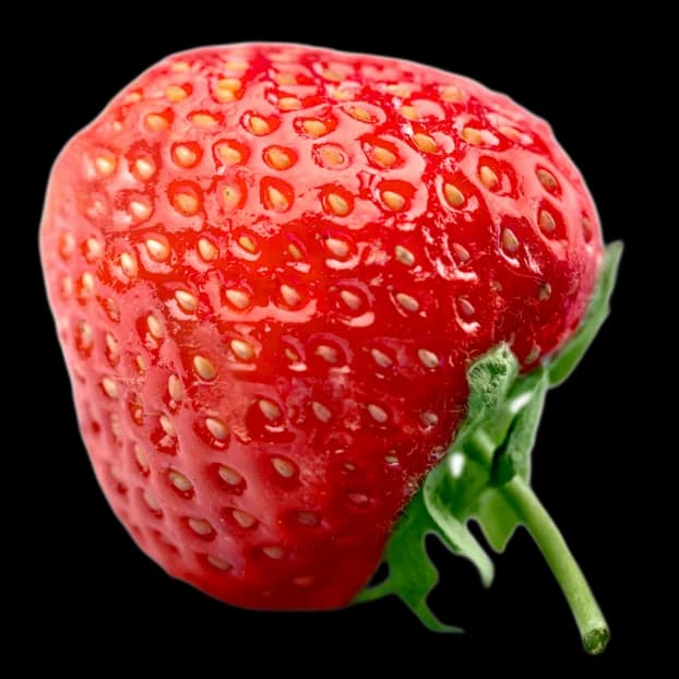 Decorative Strawberry