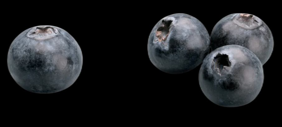 Decorative Blueberries